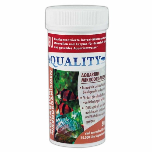 Aquality aquarium - aquality,